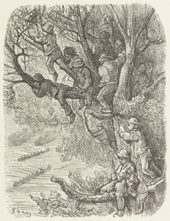 Perched in the trees, 1872.  Creator: Unknown.