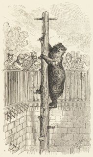 The Bear Pit - Zoological Gardens, 1872.  Creator: Alexis Jean François Alphonse Demarle.