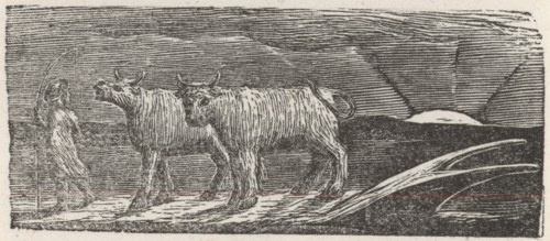 'And Unyok'd Heifers, Loitering Homeward, Low', 1821. Creator: William Blake.