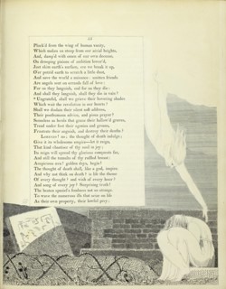 Pluck'd from the wing of human vanity, 1797.  Creator: William Blake.