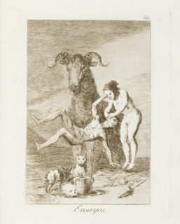 Ensayos.; Los Caprichos, pl.60, 1799. Creator: Francisco Goya.