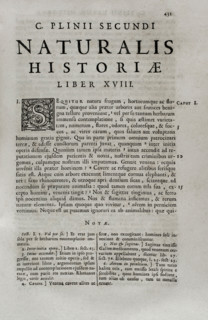 Pliny the Elder (Gaius Plinius Secundus) (c 23-79), Roman politician, historian and naturalist, 1686 Creator: Pliny the Elder.