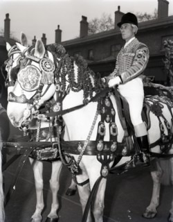 Royal postilion on a grey horse at the Royal Mews in London, c1953. Creator: Arthur Charles Kirby Ware.