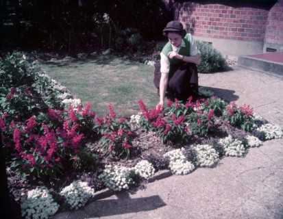 Herbaceous border, 1953. Creator: Arthur Charles Kirby Ware.