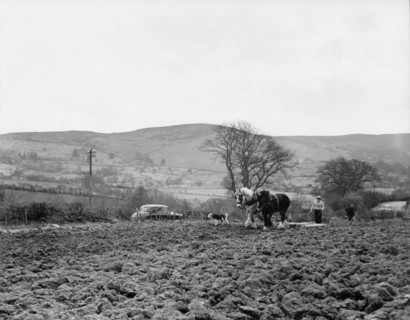 Ploughing near Pentre Felin, Wales, c1955. Creator: Arthur Charles Kirby Ware.