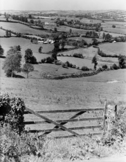 Landscape near Cadbury, Somerset, c1955.  Creator: Arthur Charles Kirby Ware.