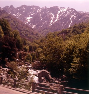 Col de Sorba, Corsica, c1955. Creator: Arthur Charles Kirby Ware.