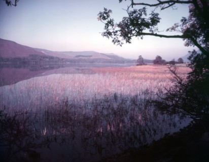 Rushes and reeds in Ullswater at Patterdale, Lake District, c1955. Creator: Arthur Charles Kirby Ware.