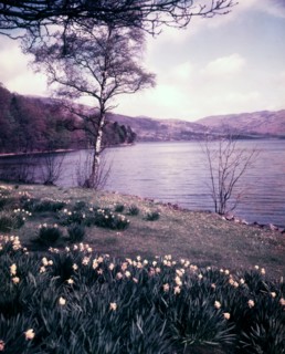 Ullswater, Lake District, c1955. Creator: Arthur Charles Kirby Ware.