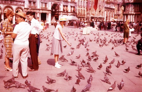 Feeding pigeons, St Mark's Square, Venice, Italy, c1955.  Creator: Arthur Charles Kirby Ware.