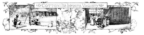 Cotton: Its Infinite Variety, 1909. Creator: Unknown.
