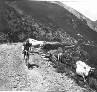 Tour de France 1924