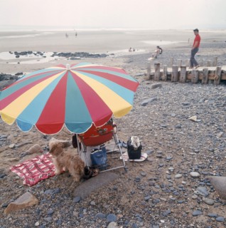 Dans les années 1970 sur une plage normande, vacanciers sous un parasol.