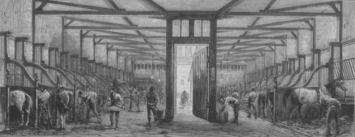 En 1874 à Paris, vue des écuries des magasins du Bon Marché, enfermant une centaine de chevaux.