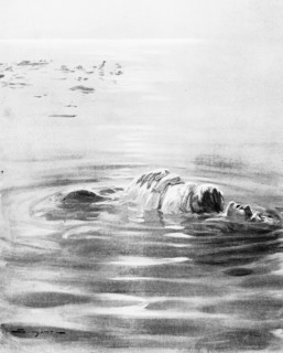 Une jeune femme et son bébé, parmis les nombreuses victimes du torpillage. Première Guerre Mondiale
