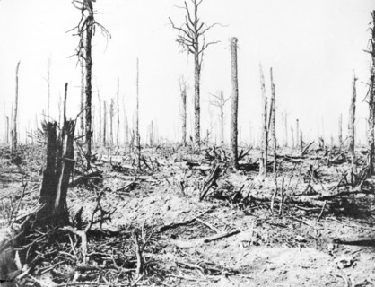 La bataille de la Somme, 1916