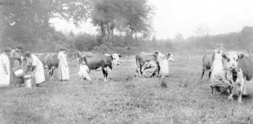 L'enseignement agricole féminin