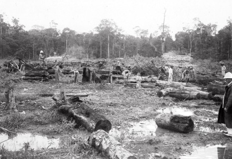 Police et justice en France au XX siècle. Les bagnes, les prisons. Les bagnes de Guyane en 1923