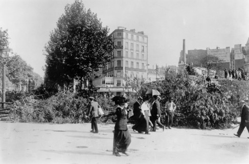 On abat les arbres porte maillot et on en fait un niveau , les principales branches seront taillées