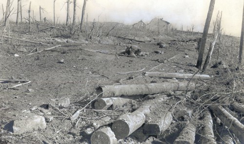 La première guerre mondiale. La route conduisant au fort de Vaux, au fond, le profil du fort -
