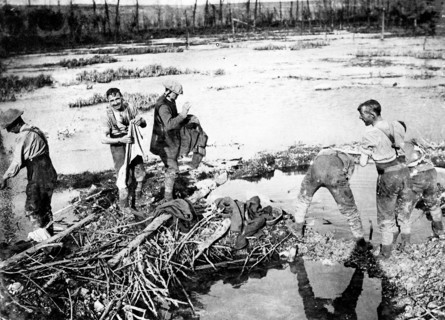Battle of the Somme, 1916