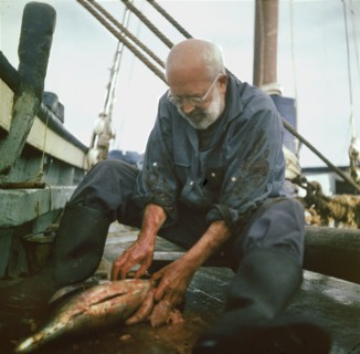 En 1955, à bord de l'AVENIR-DE-FAMILLE, dernier thonier à voile de Concarneau, un pêcheur masse la