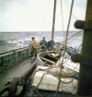 En août 1955, au cours d'une campagne de pêche de 15 jours à bord du dernier thonier de Concarneau,