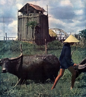 Campagne vietnamienne pendant la guerre d'Indochine