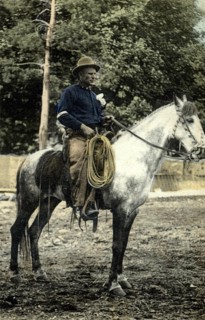 Bill Reynolds, Cow-Boys chief