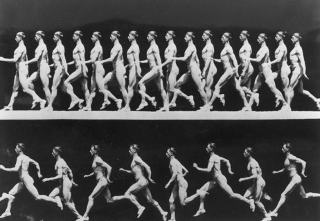 Photos prises au fusil photographique pour chronophotographe