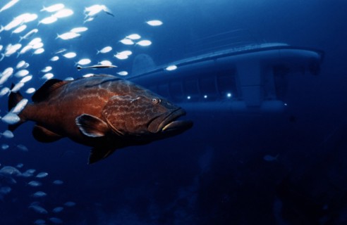 Sous-marin de tourisme