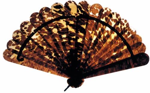 Celluloid, fan