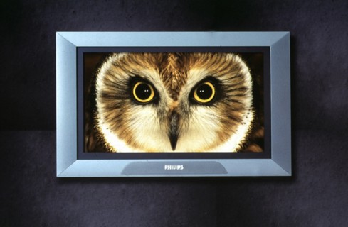 La Flat TV de Philip