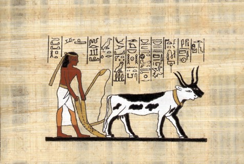 Modern Egyptian papyrus