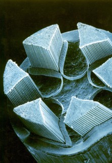 Supraconductor cable