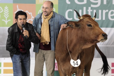 La Vache