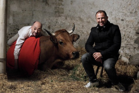 La Vache