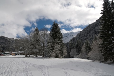 Paysage de montagne