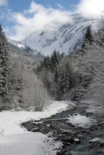 Paysage de montagne