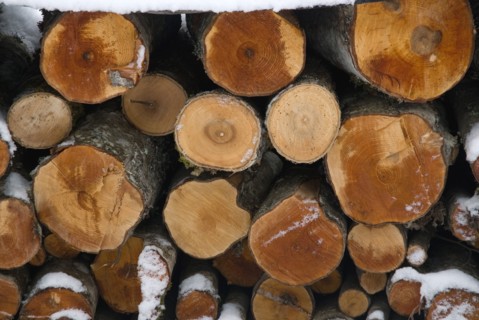 Rondins de bois
