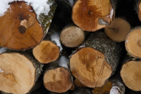 Rondins de bois