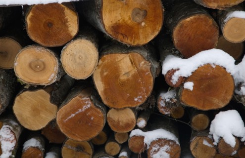 Rondins de bois