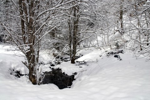 Paysage de montagne