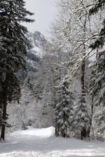 Paysage de montagne
