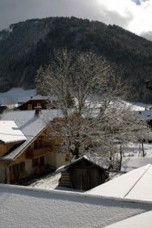 Paysage de montagne