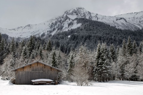 Paysage de montagne