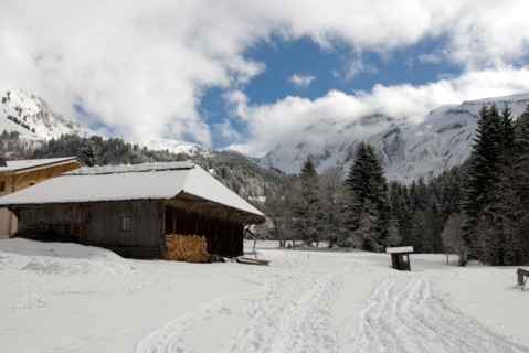 Paysage de montagne