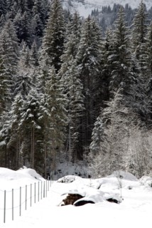 Paysage de montagne