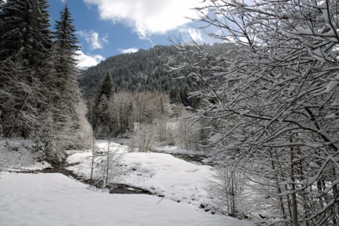 Paysage de montagne