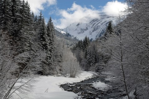 Paysage de montagne